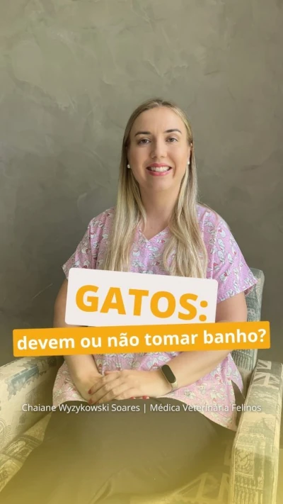 Gatos devem ou não tomar banho?