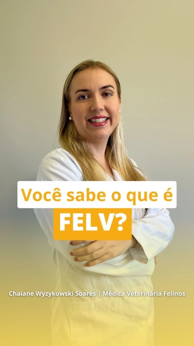 Você sabe o que é FELV?